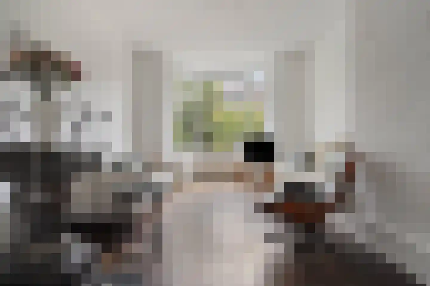 Laan van Rustenburg 29 Voorburg thumbnail 19
