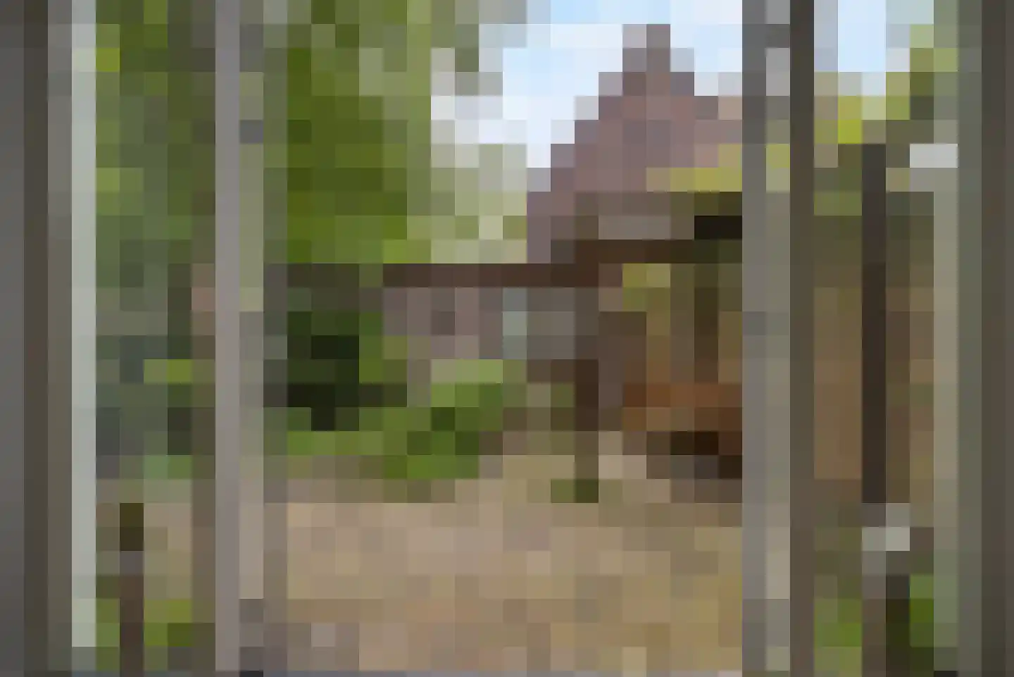 Laan van Rustenburg 29 Voorburg thumbnail 26