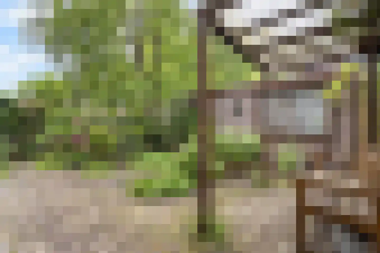 Laan van Rustenburg 29 Voorburg thumbnail 28