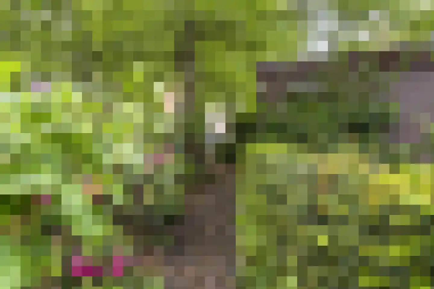 Laan van Rustenburg 29 Voorburg thumbnail 29