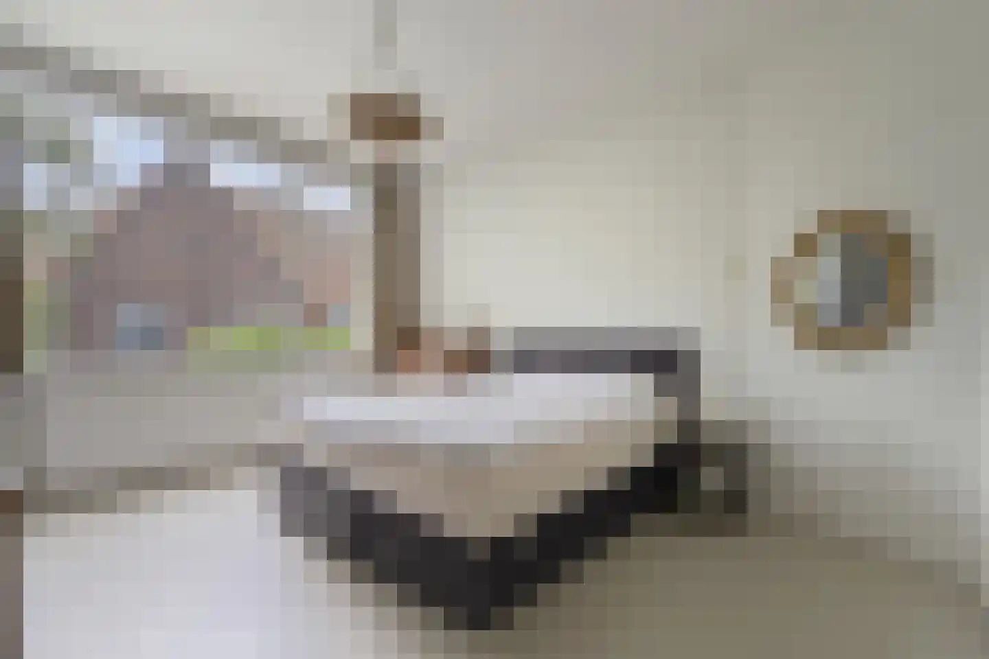 Laan van Rustenburg 29 Voorburg thumbnail 43
