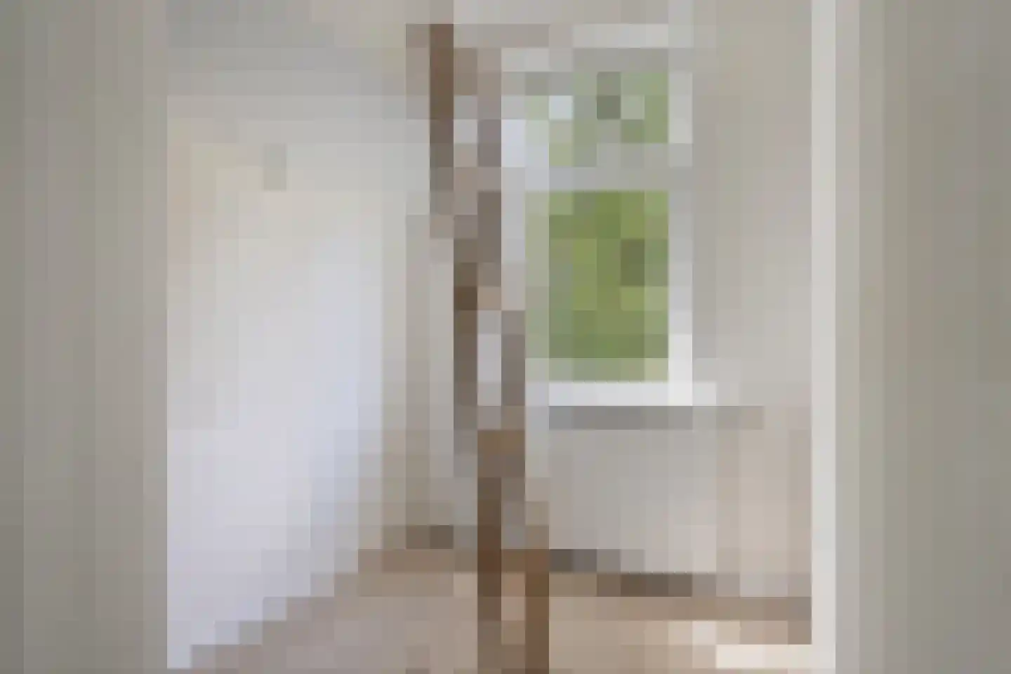 Laan van Rustenburg 29 Voorburg thumbnail 45