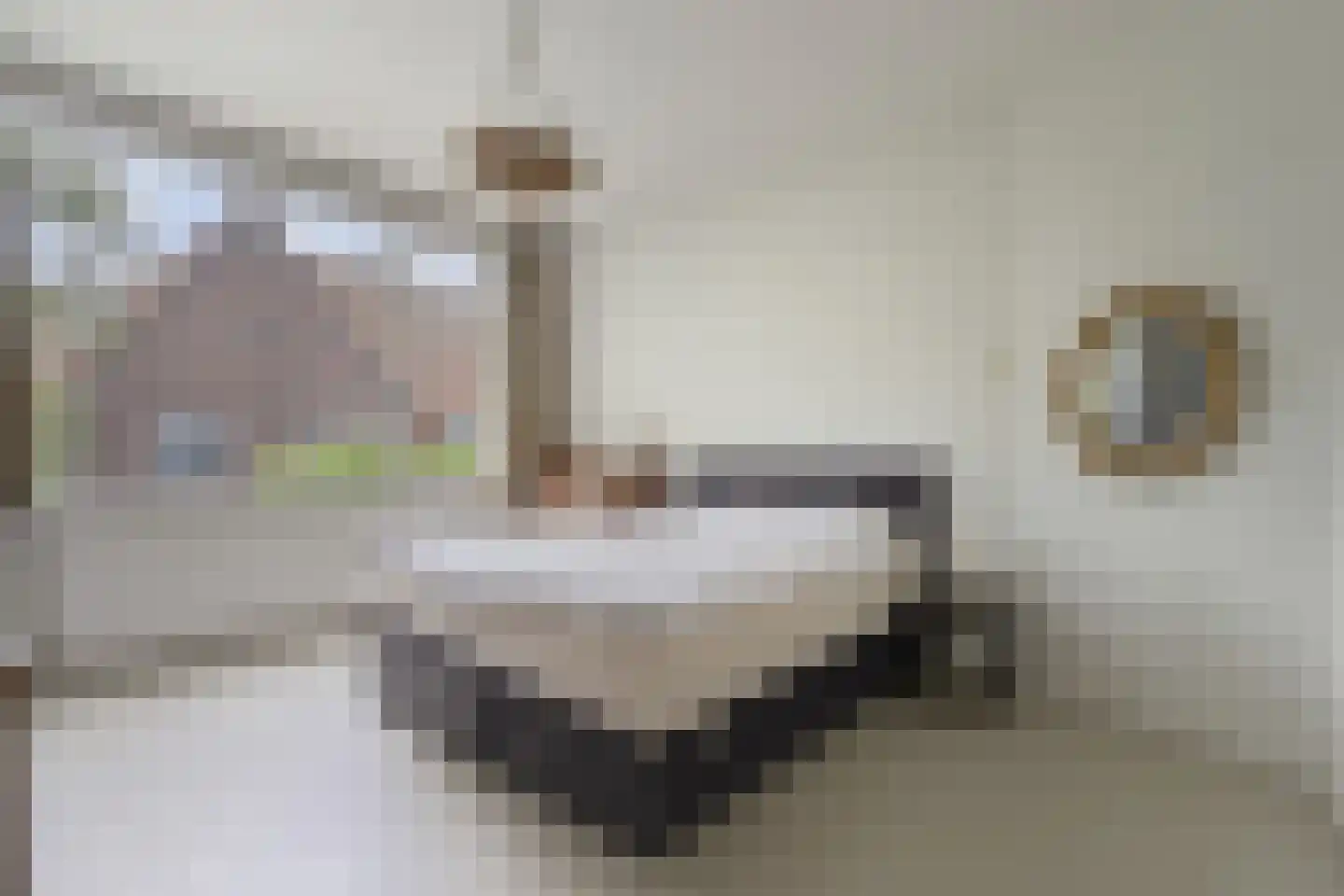 Laan van Rustenburg 29 Voorburg thumbnail 5