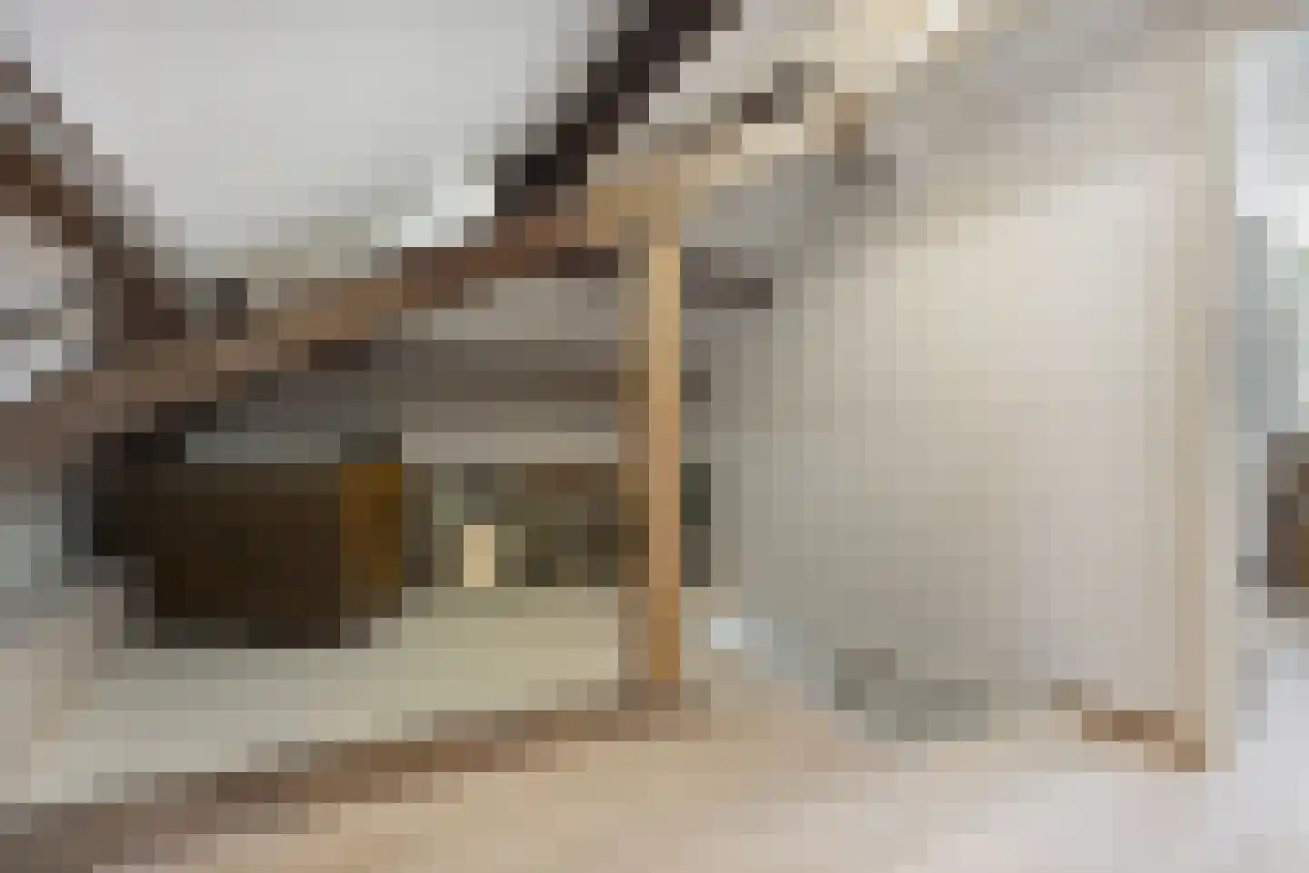 Laan van Rustenburg 29 Voorburg thumbnail 55