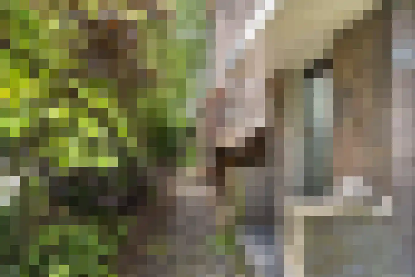 Laan van Rustenburg 29 Voorburg thumbnail 8