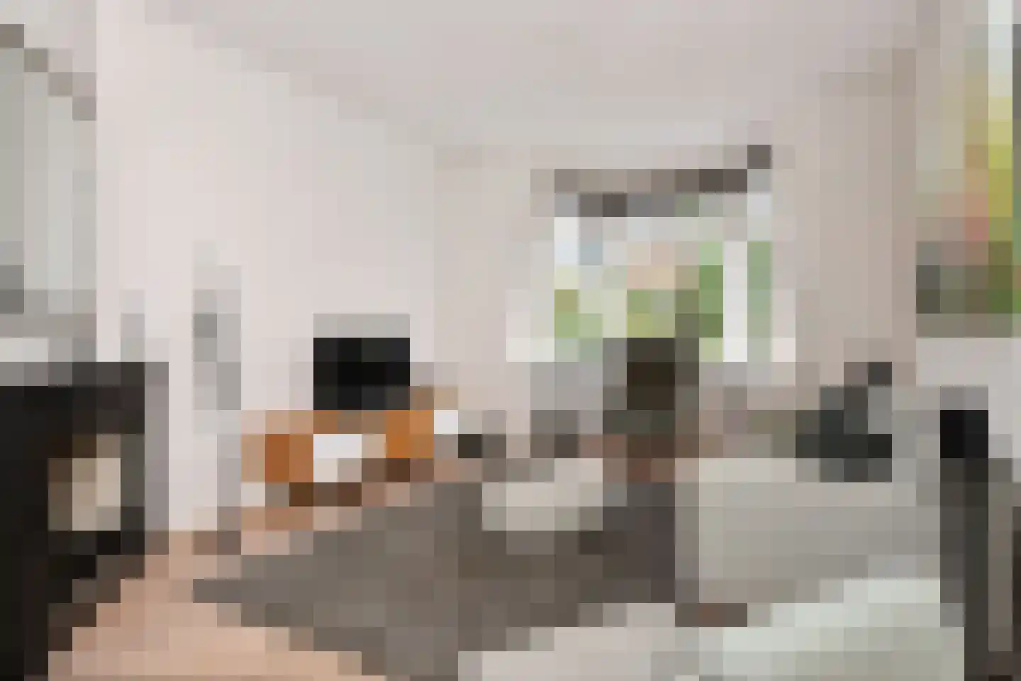 Laan van Rustenburg 33 Voorburg thumbnail 17