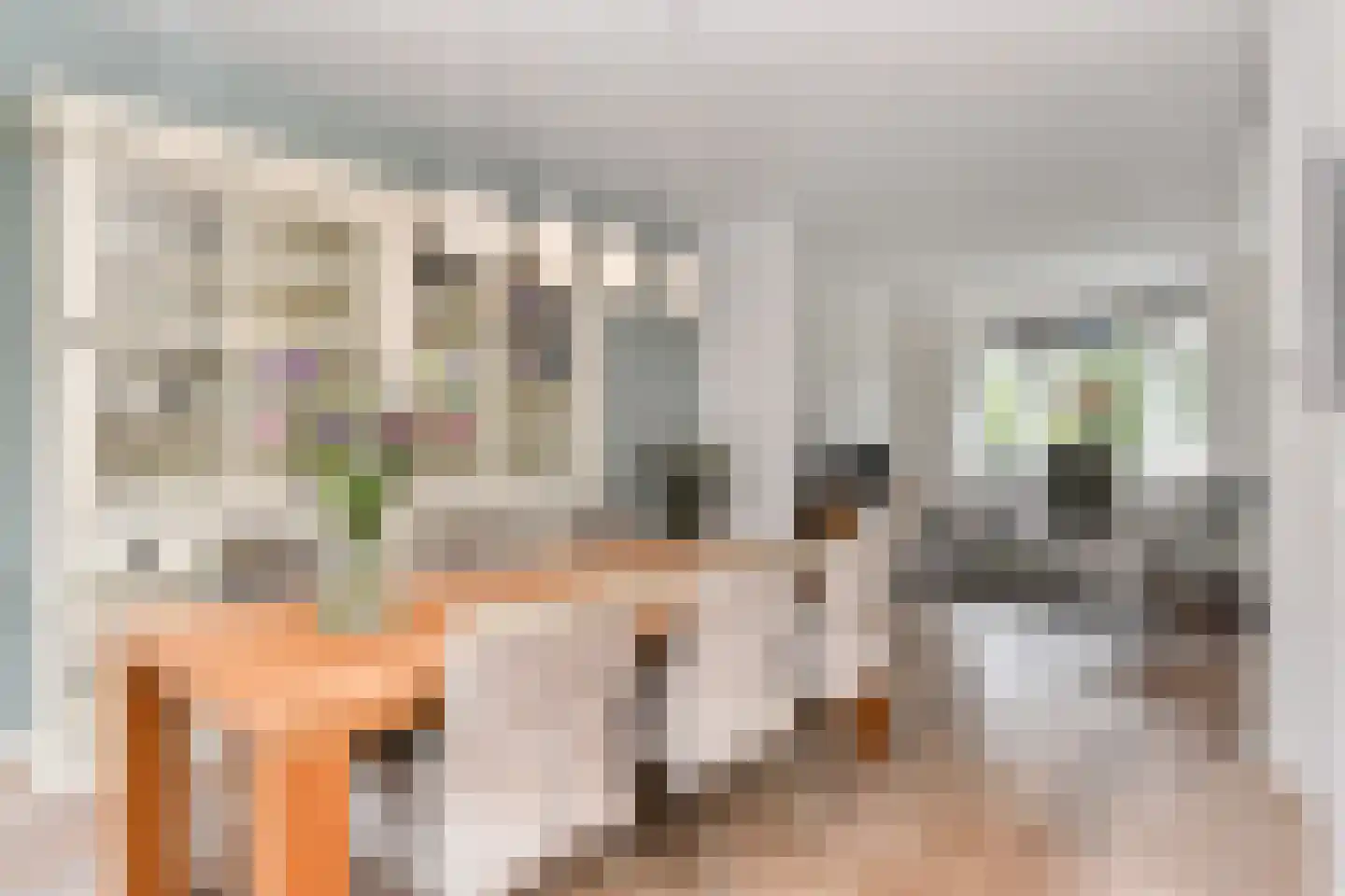 Laan van Rustenburg 33 Voorburg thumbnail 21