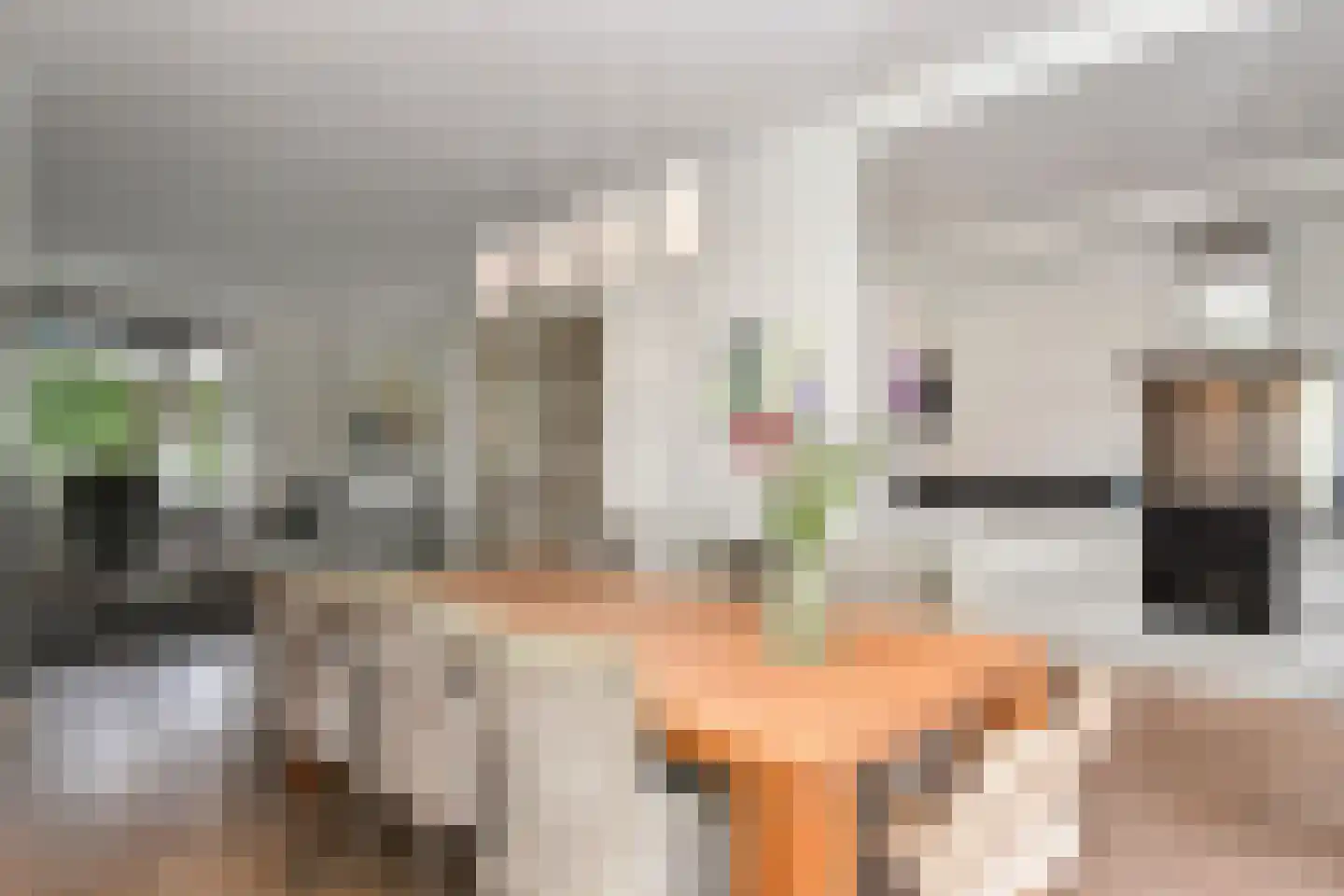 Laan van Rustenburg 33 Voorburg thumbnail 22