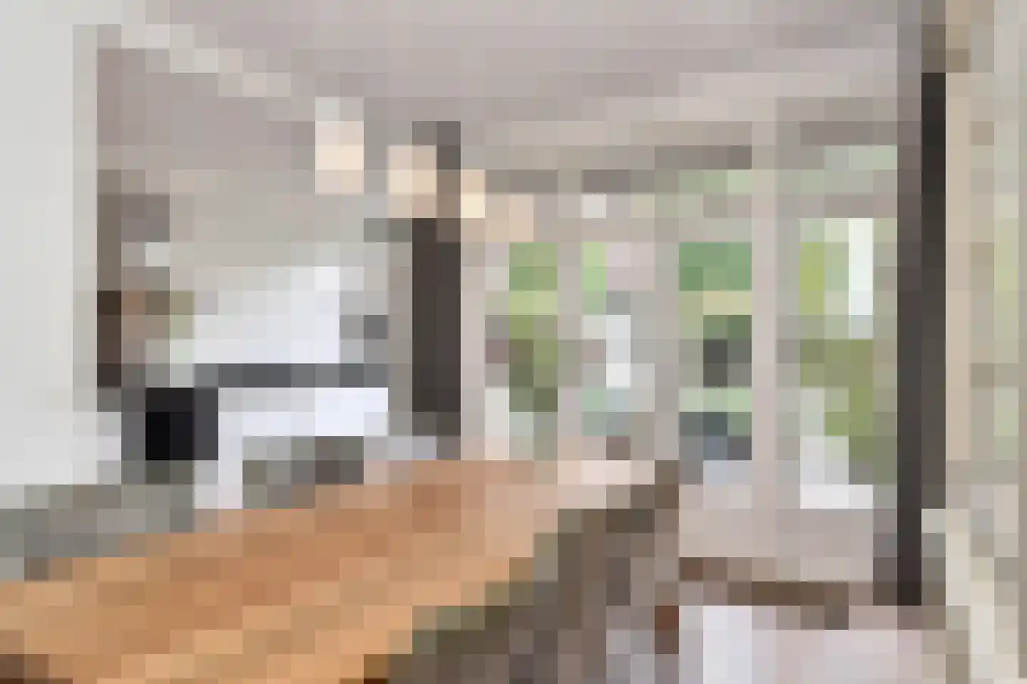 Laan van Rustenburg 33 Voorburg thumbnail 24