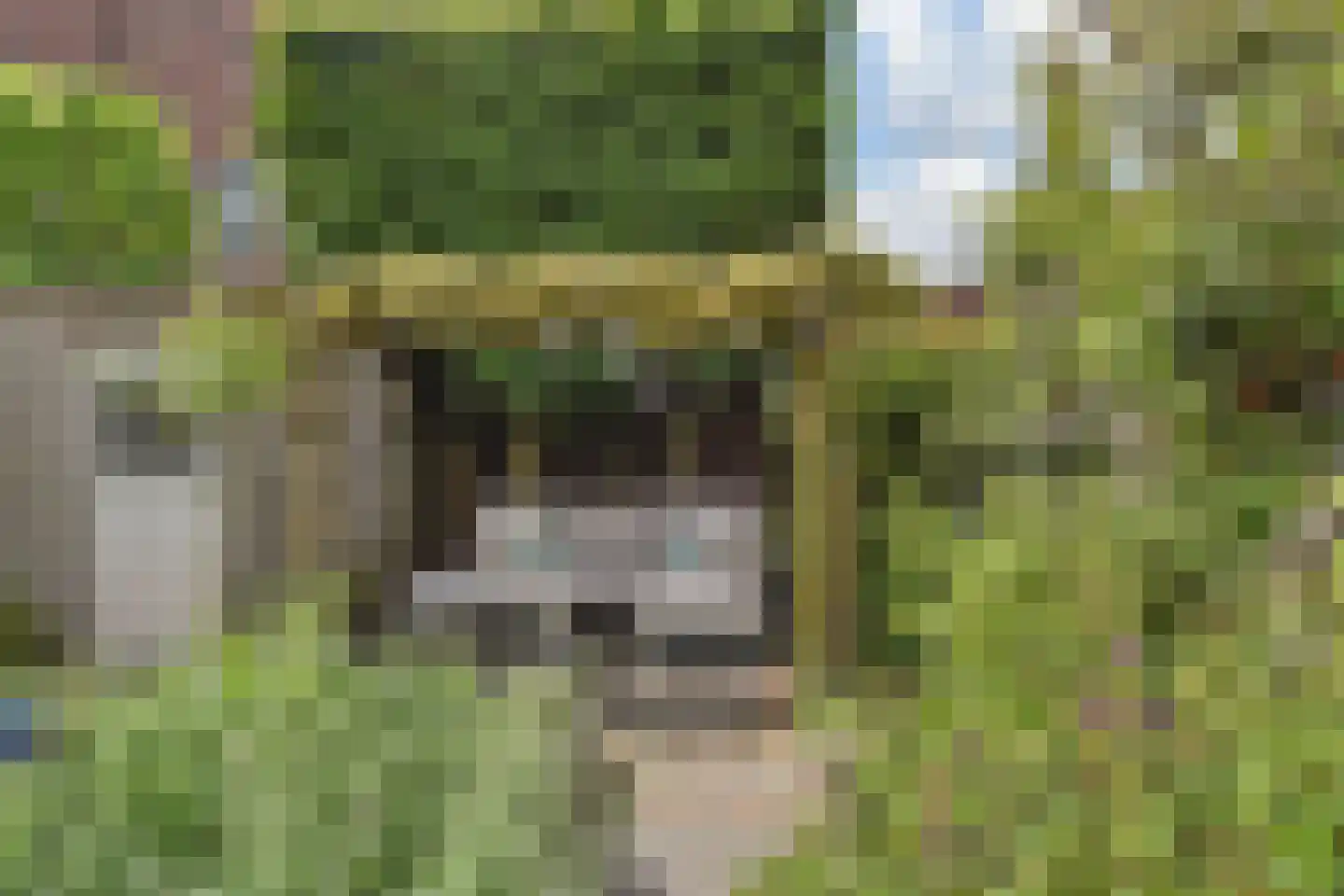 Laan van Rustenburg 33 Voorburg thumbnail 36