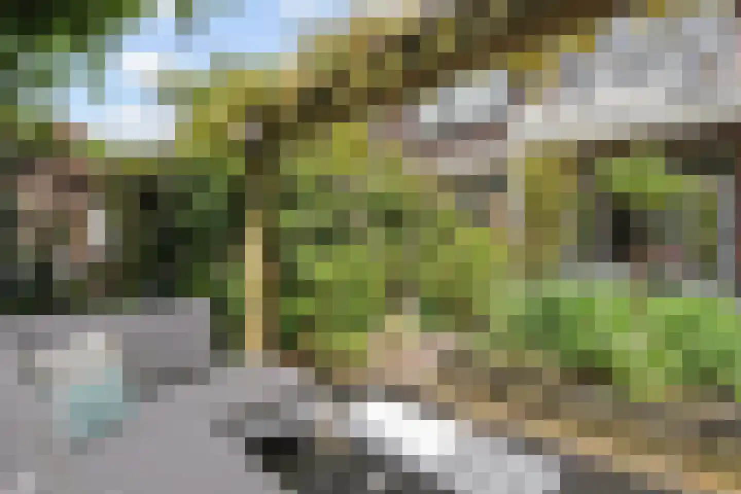 Laan van Rustenburg 33 Voorburg thumbnail 38