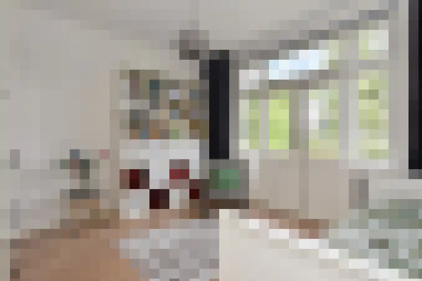 Laan van Rustenburg 33 Voorburg thumbnail 49