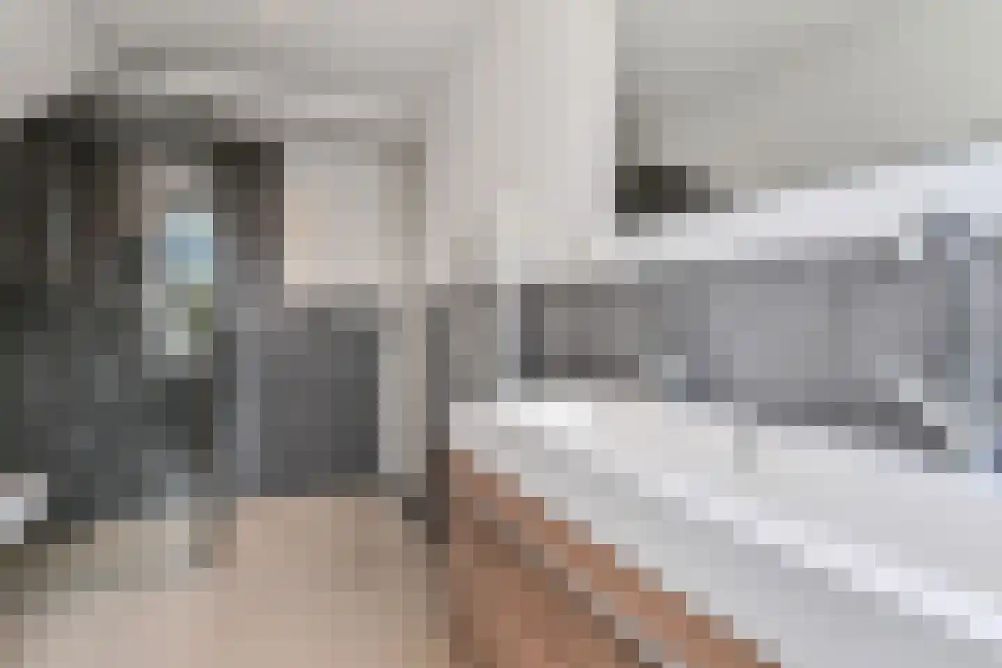 Laan van Rustenburg 33 Voorburg thumbnail 5