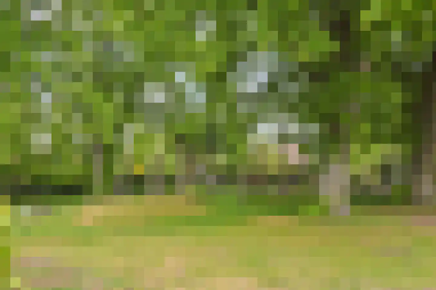 Laan van Rustenburg 33 Voorburg thumbnail 59