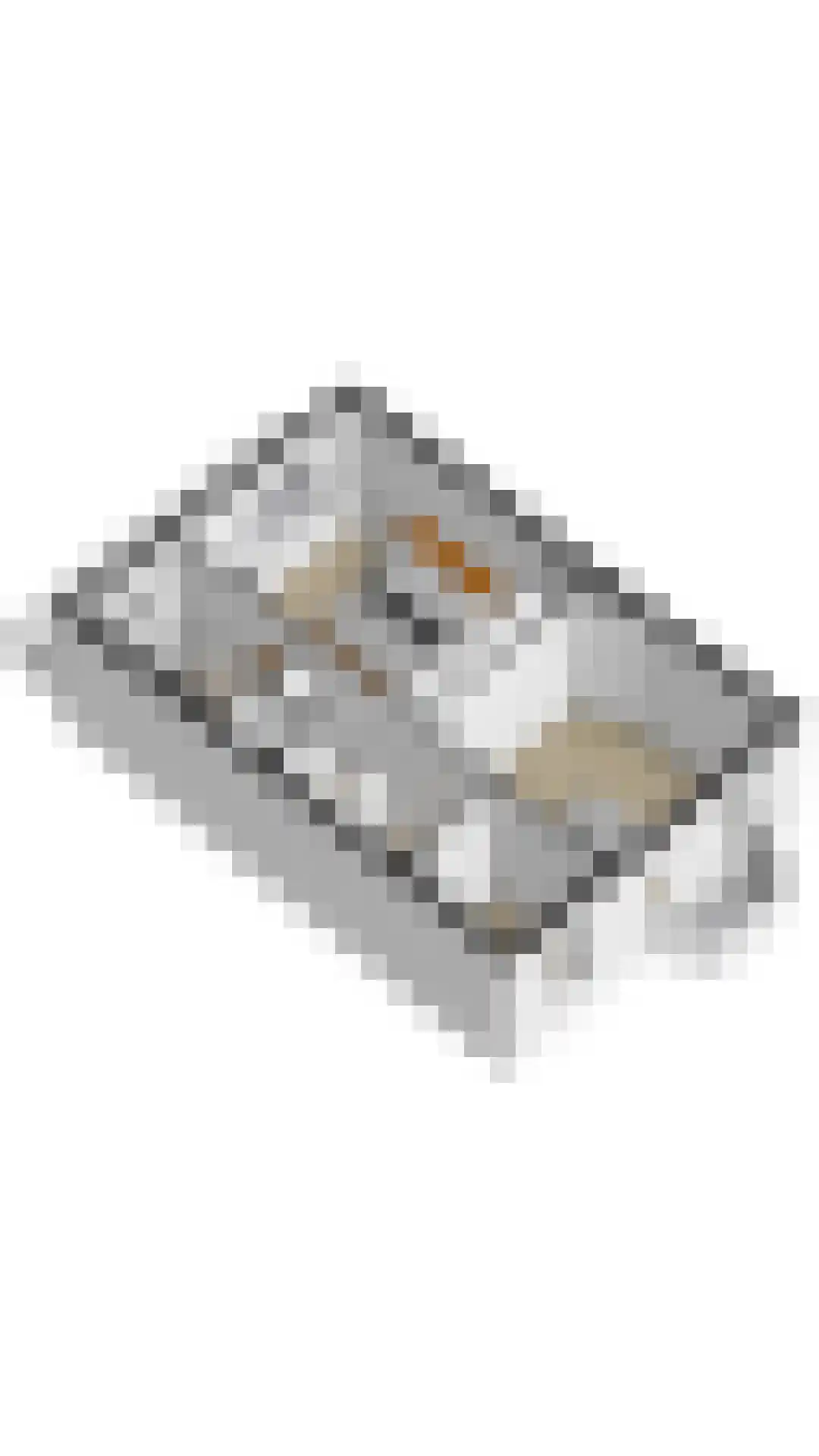 Laan van Rustenburg 33 Voorburg thumbnail 65