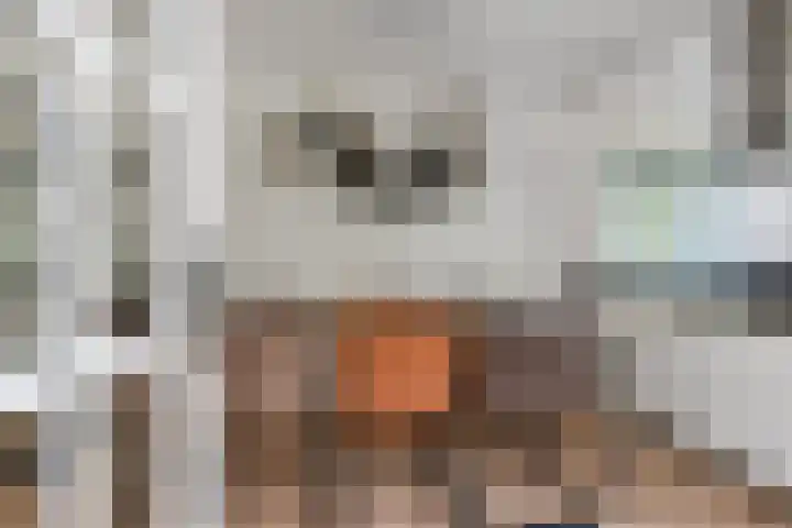 Laan van 's-Gravenhout 2 Nootdorp thumbnail 11