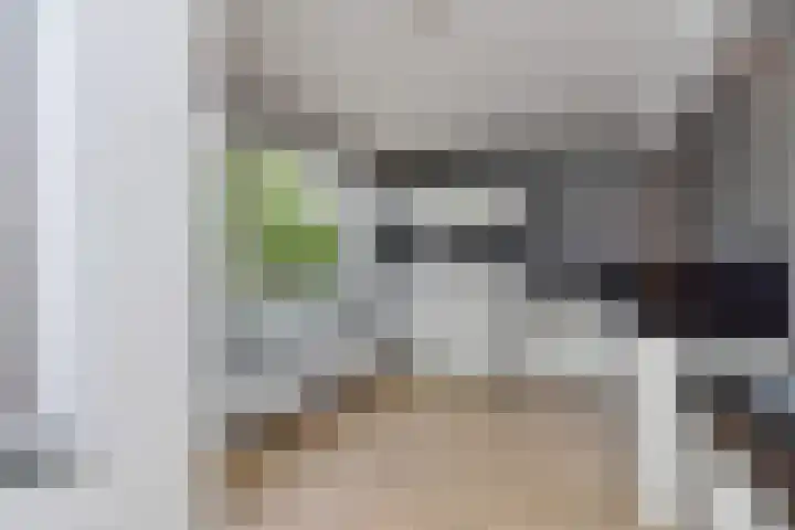 Laan van 's-Gravenhout 2 Nootdorp thumbnail 16