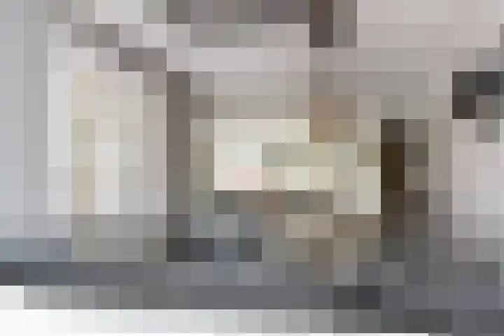Laan van 's-Gravenhout 2 Nootdorp thumbnail 22