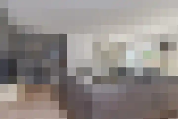 Laan van 's-Gravenhout 2 Nootdorp thumbnail 24