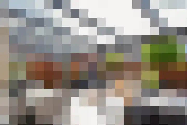 Laan van 's-Gravenhout 2 Nootdorp thumbnail 26