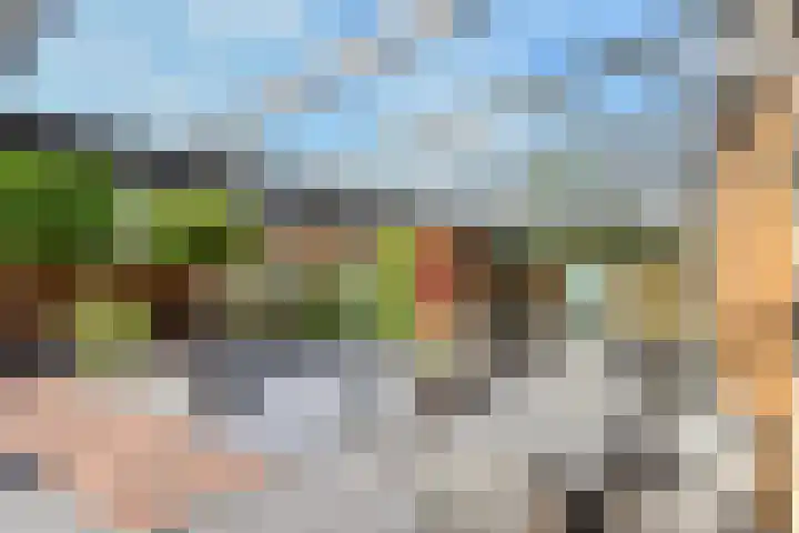 Laan van 's-Gravenhout 2 Nootdorp thumbnail 4