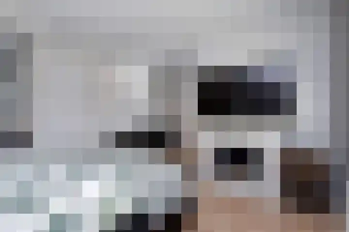 Laan van 's-Gravenhout 2 Nootdorp thumbnail 43