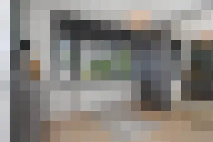 Laan van 's-Gravenhout 2 Nootdorp thumbnail 50