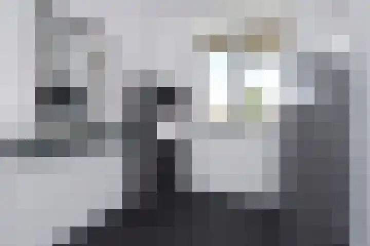 Laan van 's-Gravenhout 2 Nootdorp thumbnail 51