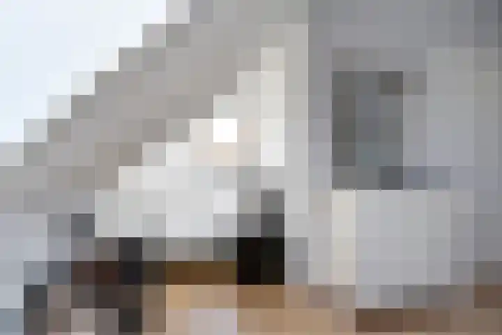 Laan van 's-Gravenhout 2 Nootdorp thumbnail 58