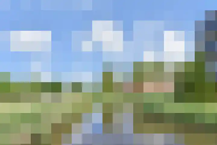 Laan van 's-Gravenhout 2 Nootdorp thumbnail 68