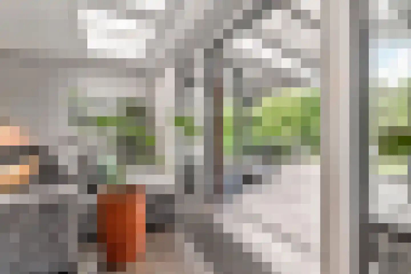 Laan van 's-Gravenhout 56 Nootdorp thumbnail 11