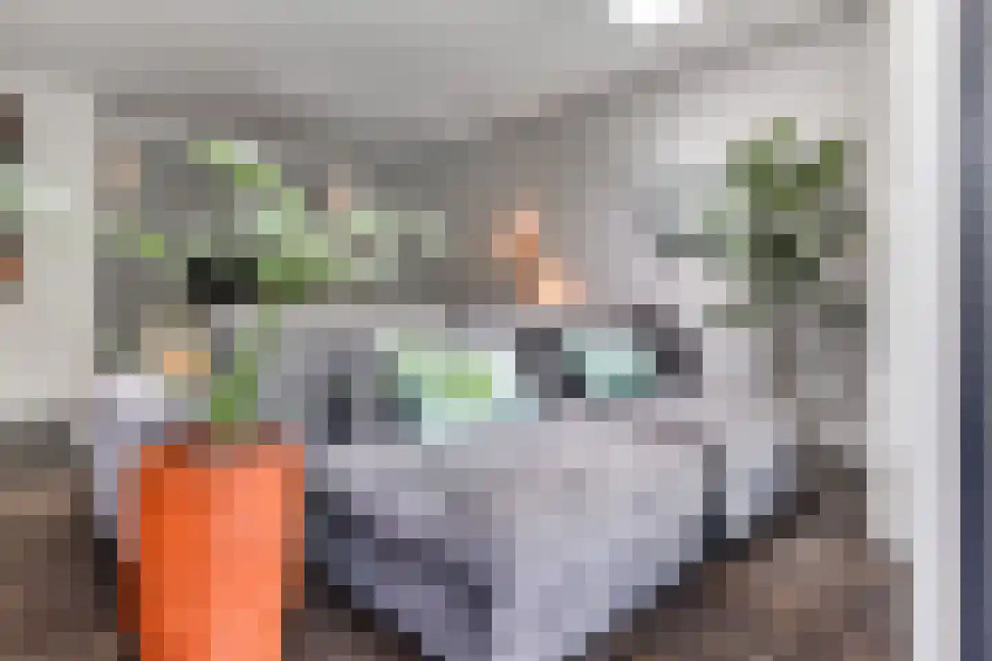 Laan van 's-Gravenhout 56 Nootdorp thumbnail 12