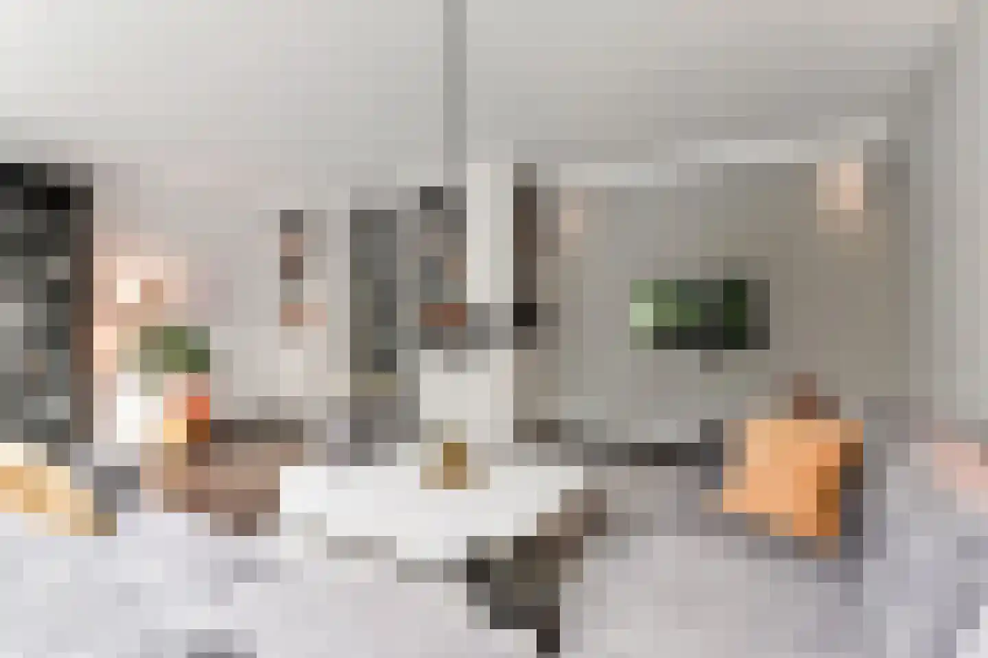 Laan van 's-Gravenhout 56 Nootdorp thumbnail 13