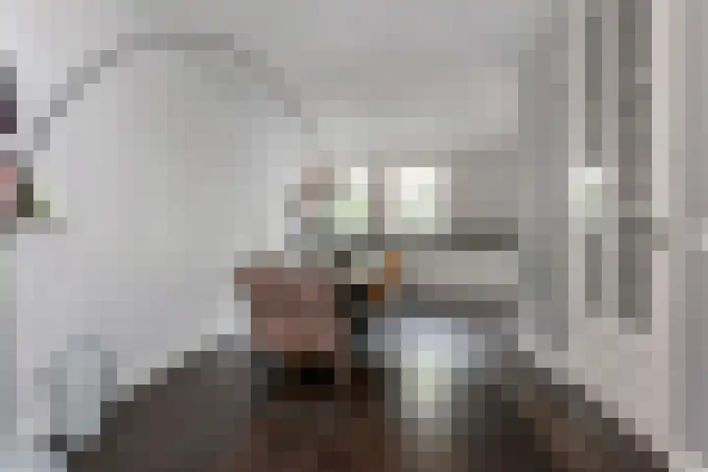 Laan van 's-Gravenhout 56 Nootdorp thumbnail 15