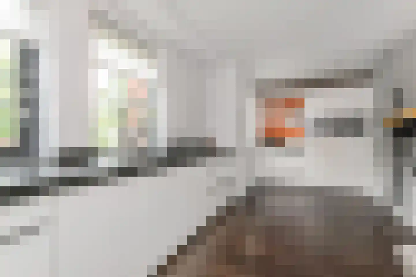 Laan van 's-Gravenhout 56 Nootdorp thumbnail 18