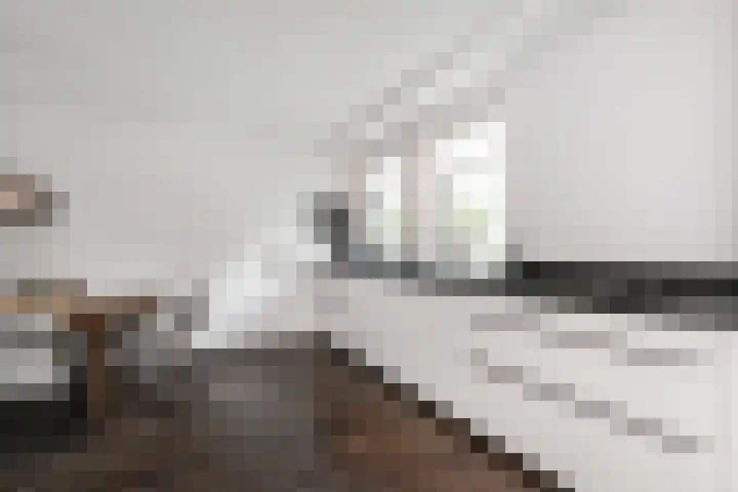 Laan van 's-Gravenhout 56 Nootdorp thumbnail 19