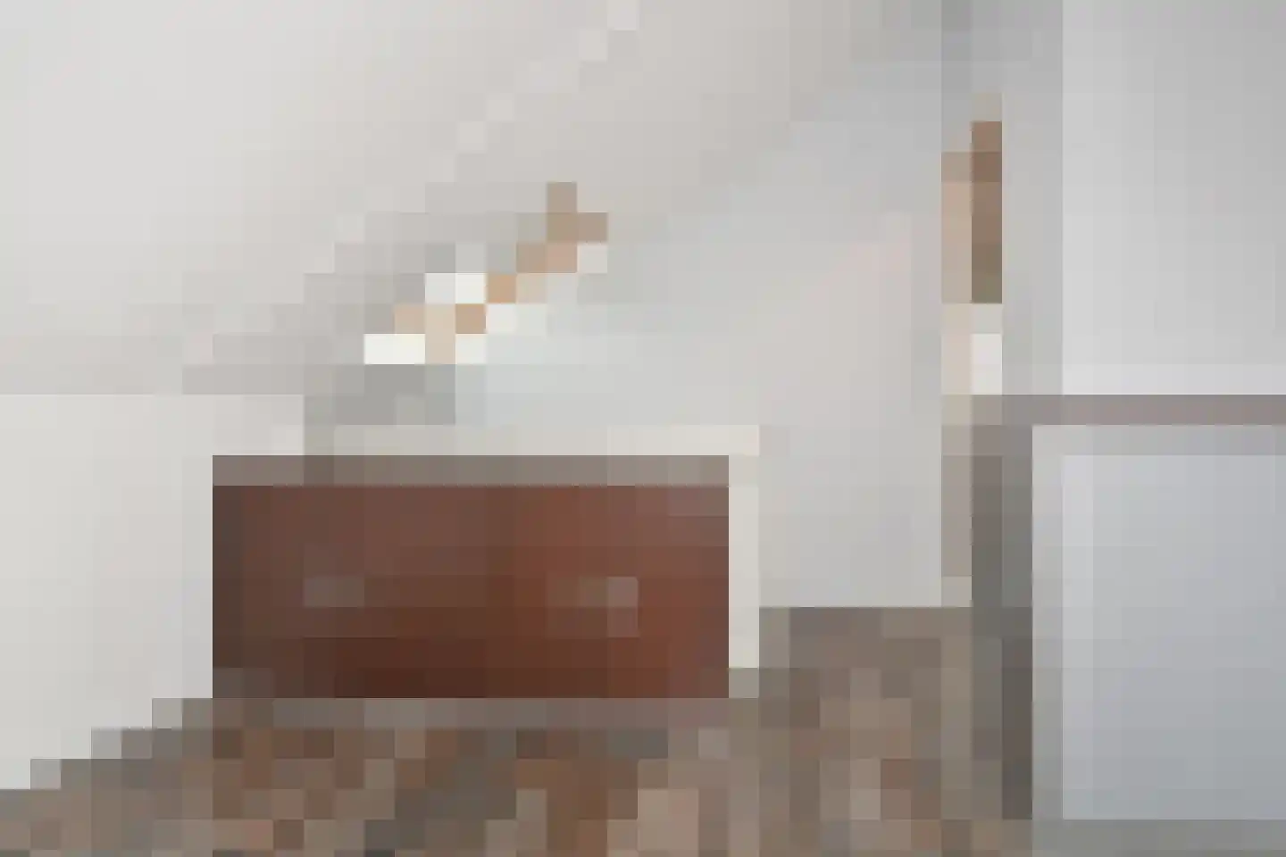 Laan van 's-Gravenhout 56 Nootdorp thumbnail 37