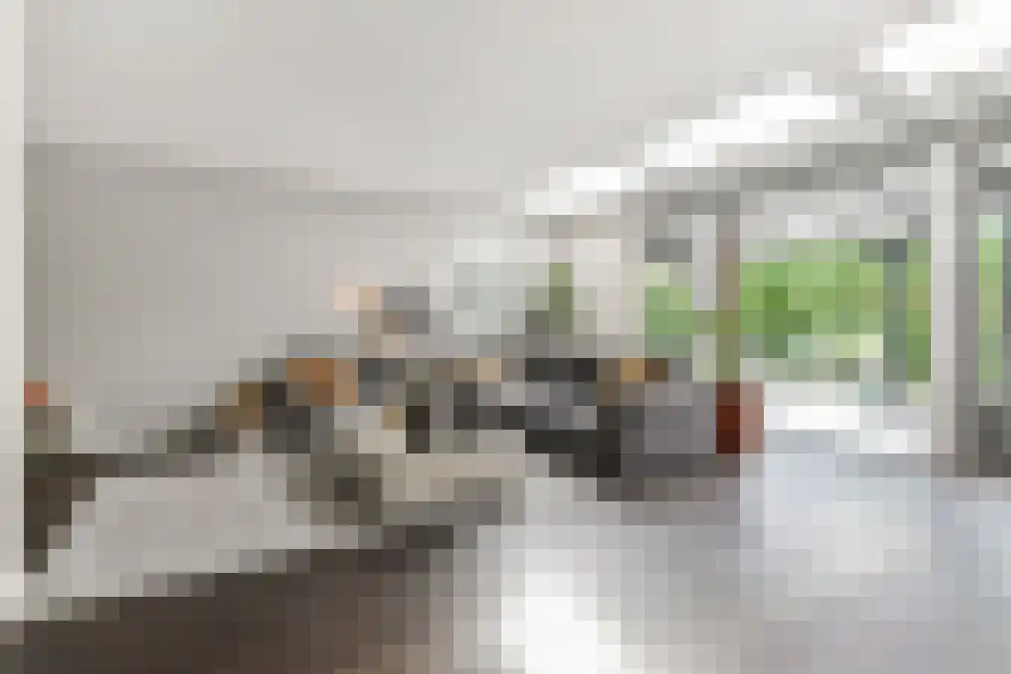 Laan van 's-Gravenhout 56 Nootdorp thumbnail 4