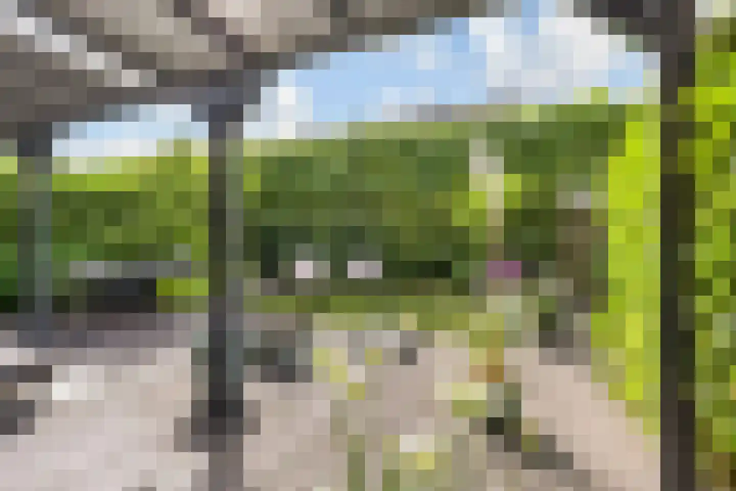 Laan van 's-Gravenhout 56 Nootdorp thumbnail 5
