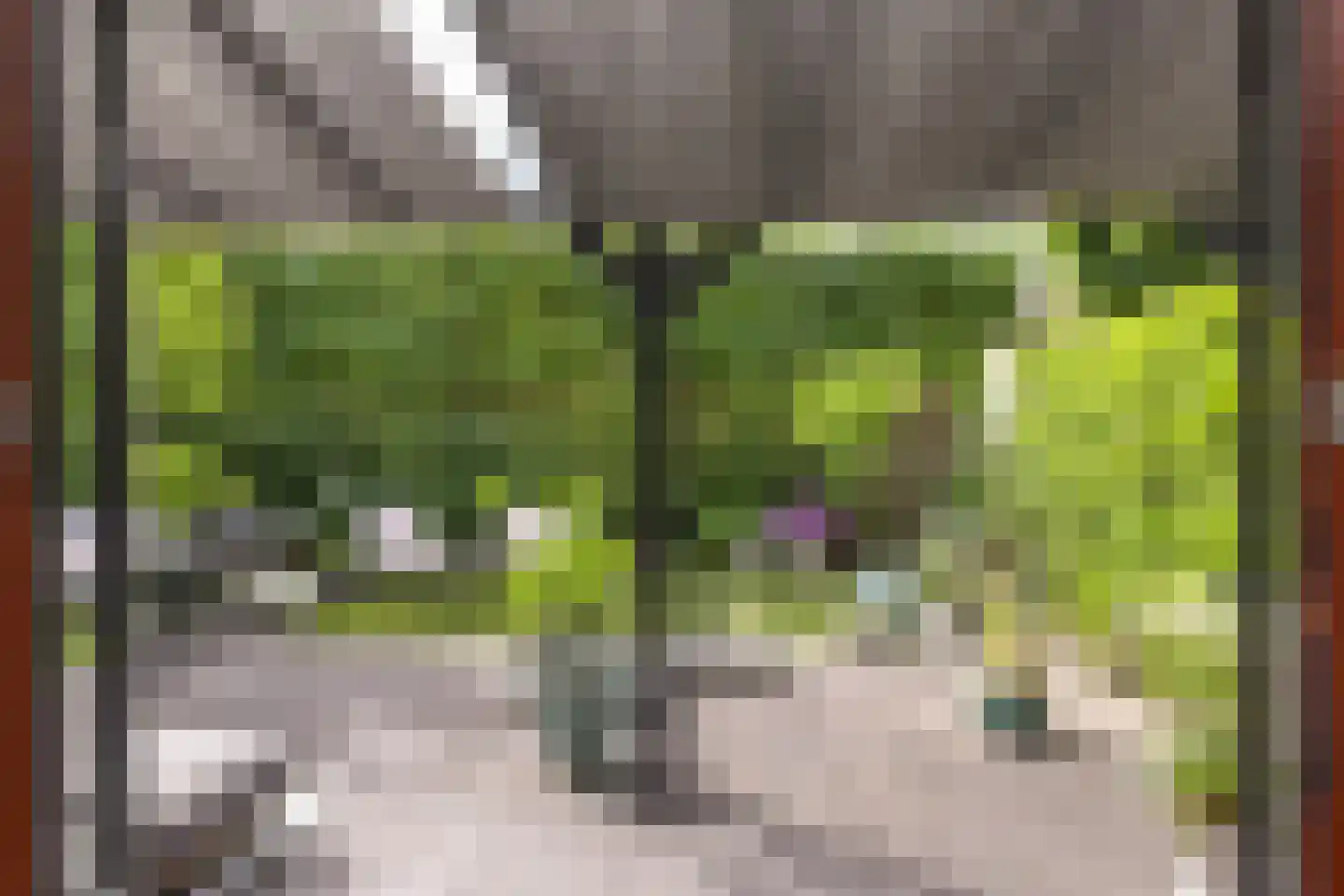 Laan van 's-Gravenhout 56 Nootdorp thumbnail 6