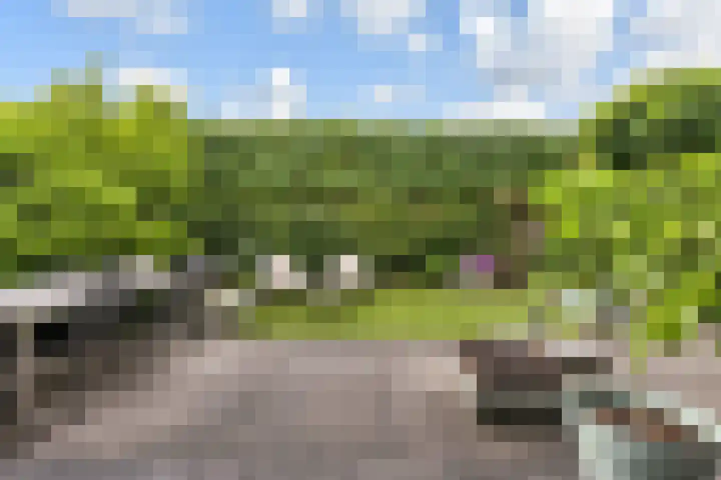 Laan van 's-Gravenhout 56 Nootdorp thumbnail 6