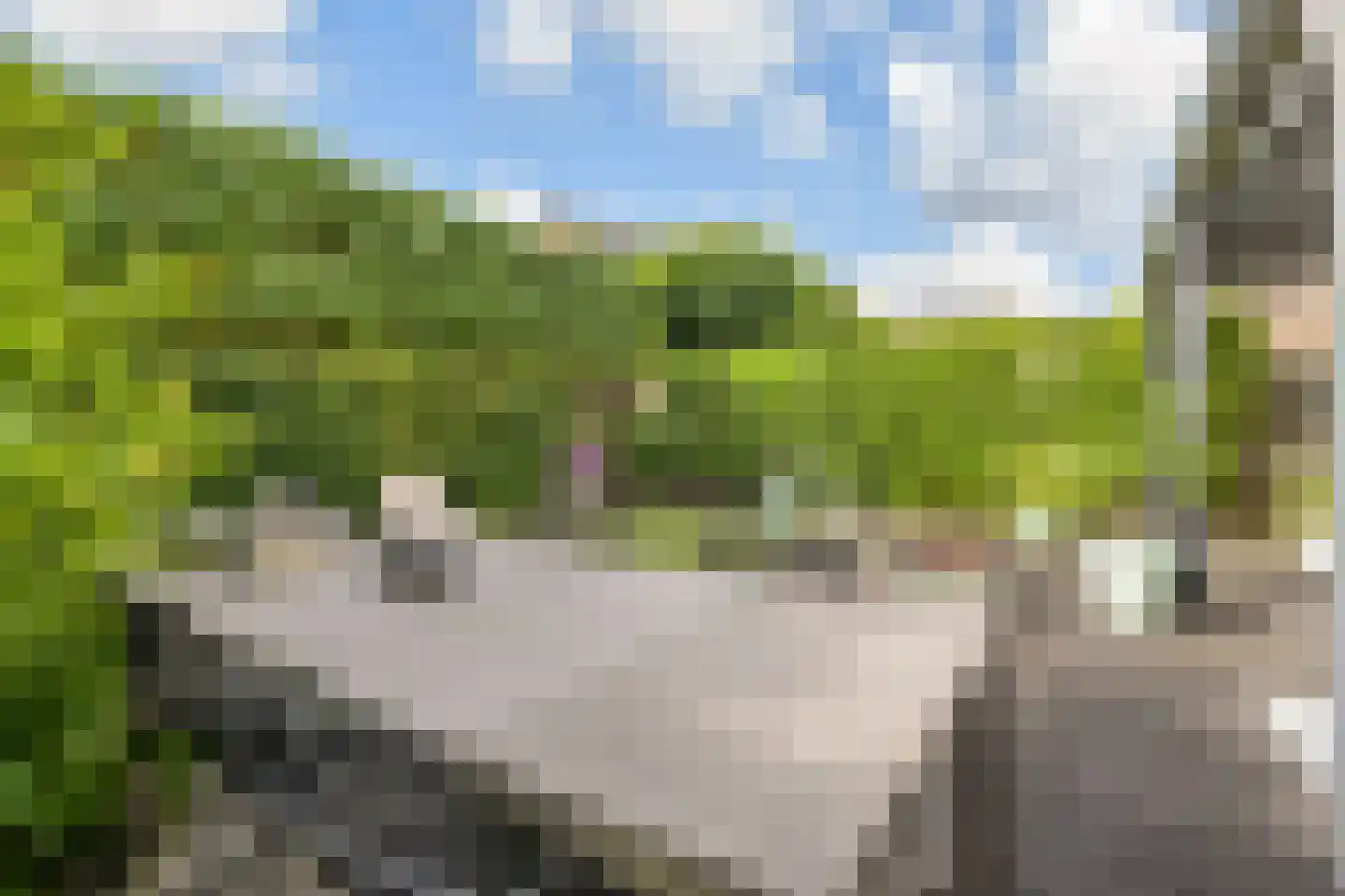 Laan van 's-Gravenhout 56 Nootdorp thumbnail 9