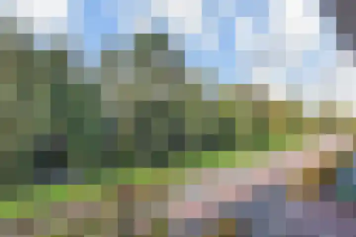 Laan van 's-Gravenhout 60 Nootdorp thumbnail 47