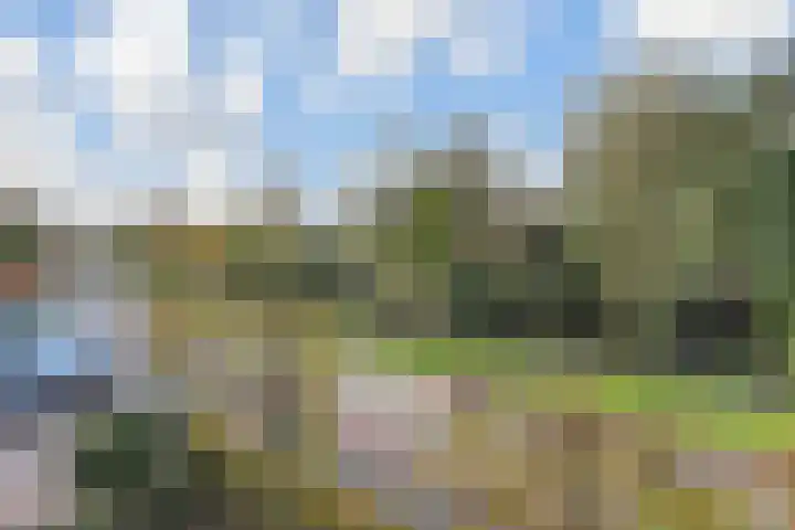 Laan van 's-Gravenhout 60 Nootdorp thumbnail 48