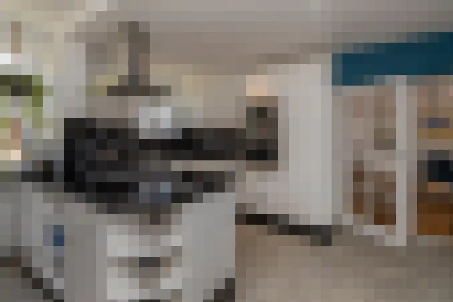 Laan van Scheltema 2 Den Haag thumbnail 14