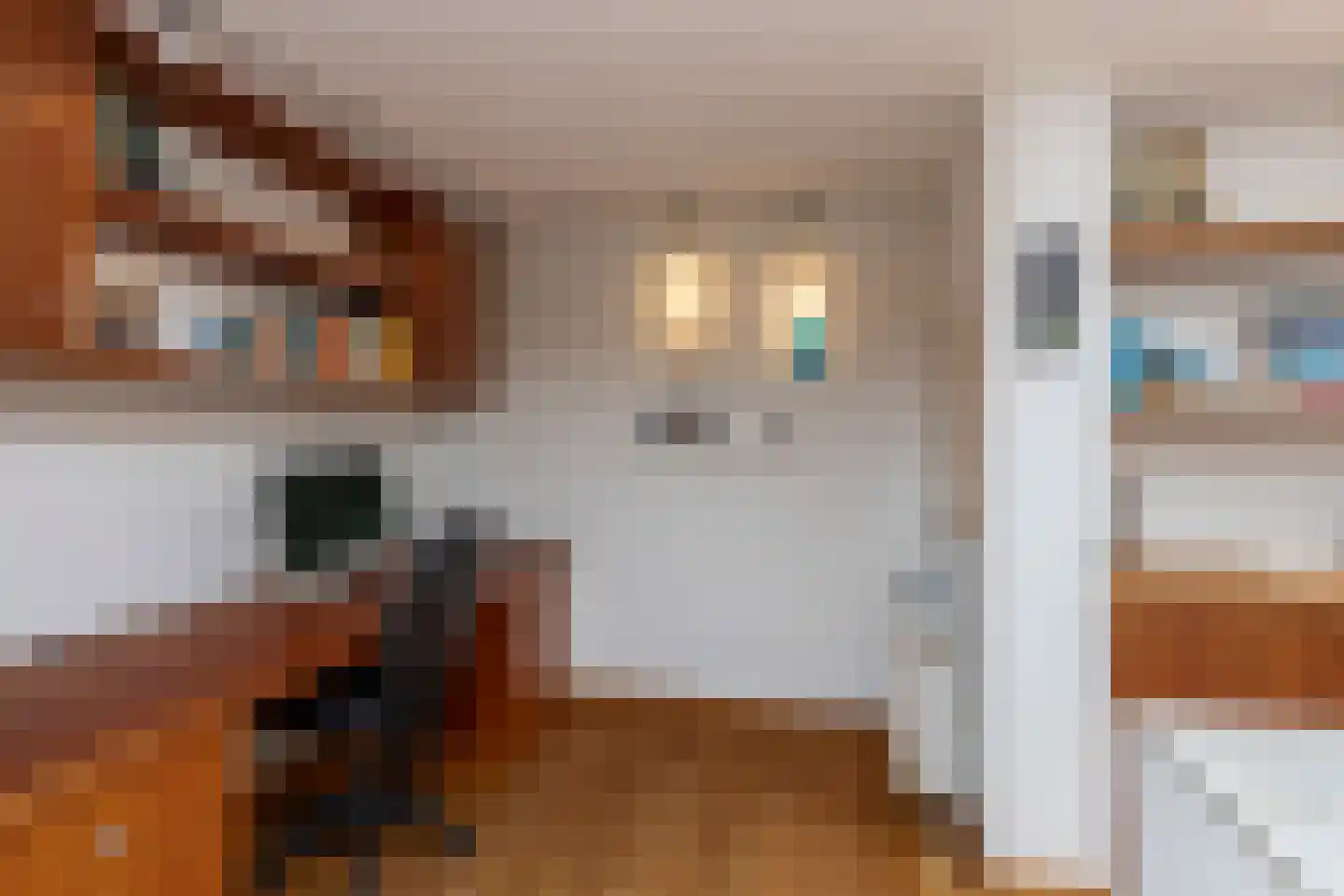 Laan van Scheltema 2 Den Haag thumbnail 18
