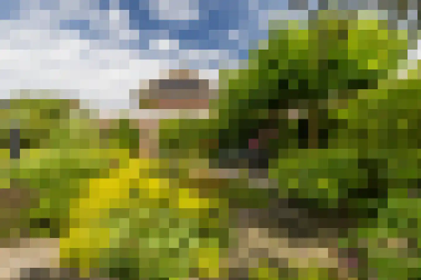 Laan van Scheltema 2 Den Haag thumbnail 24