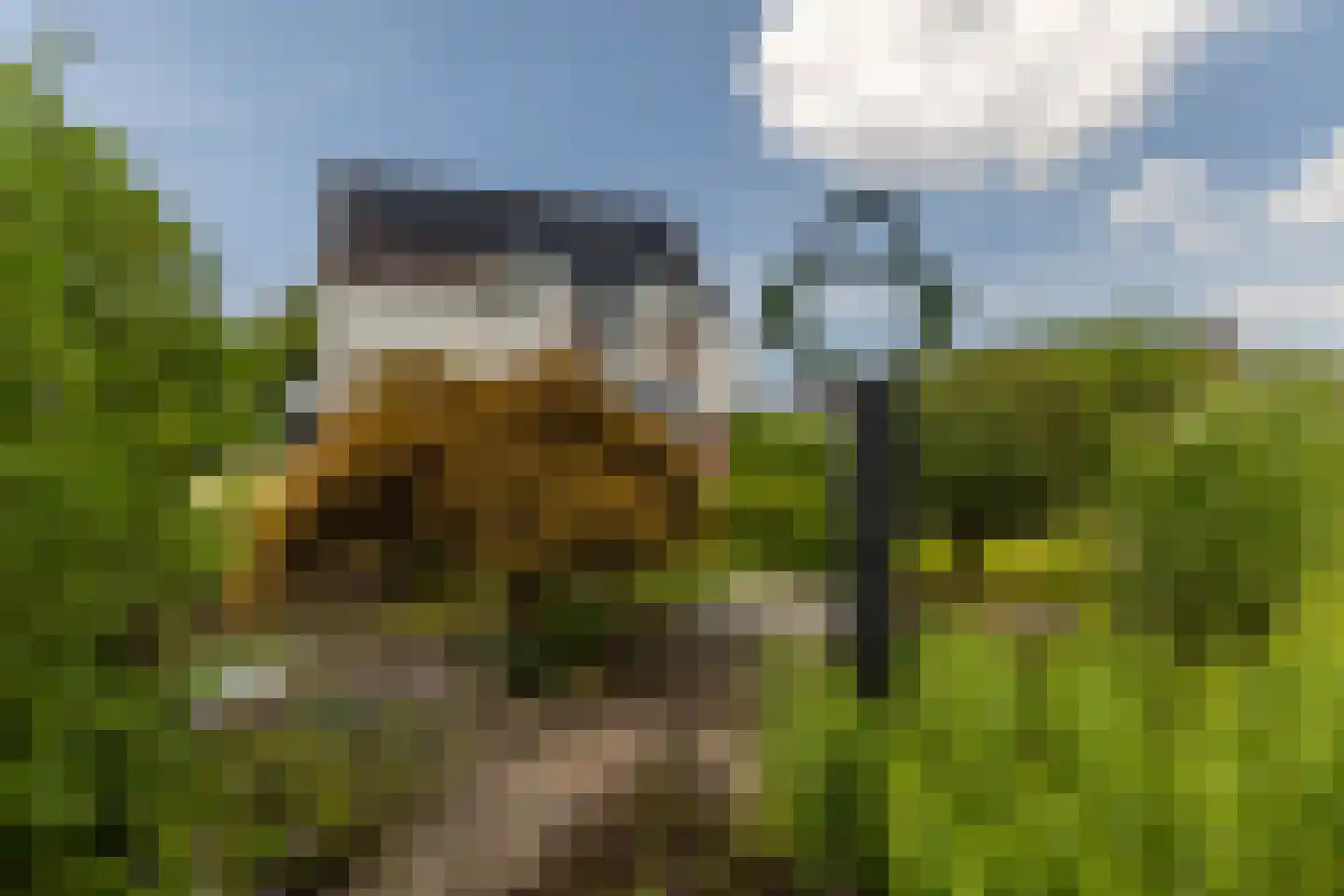 Laan van Scheltema 2 Den Haag thumbnail 25