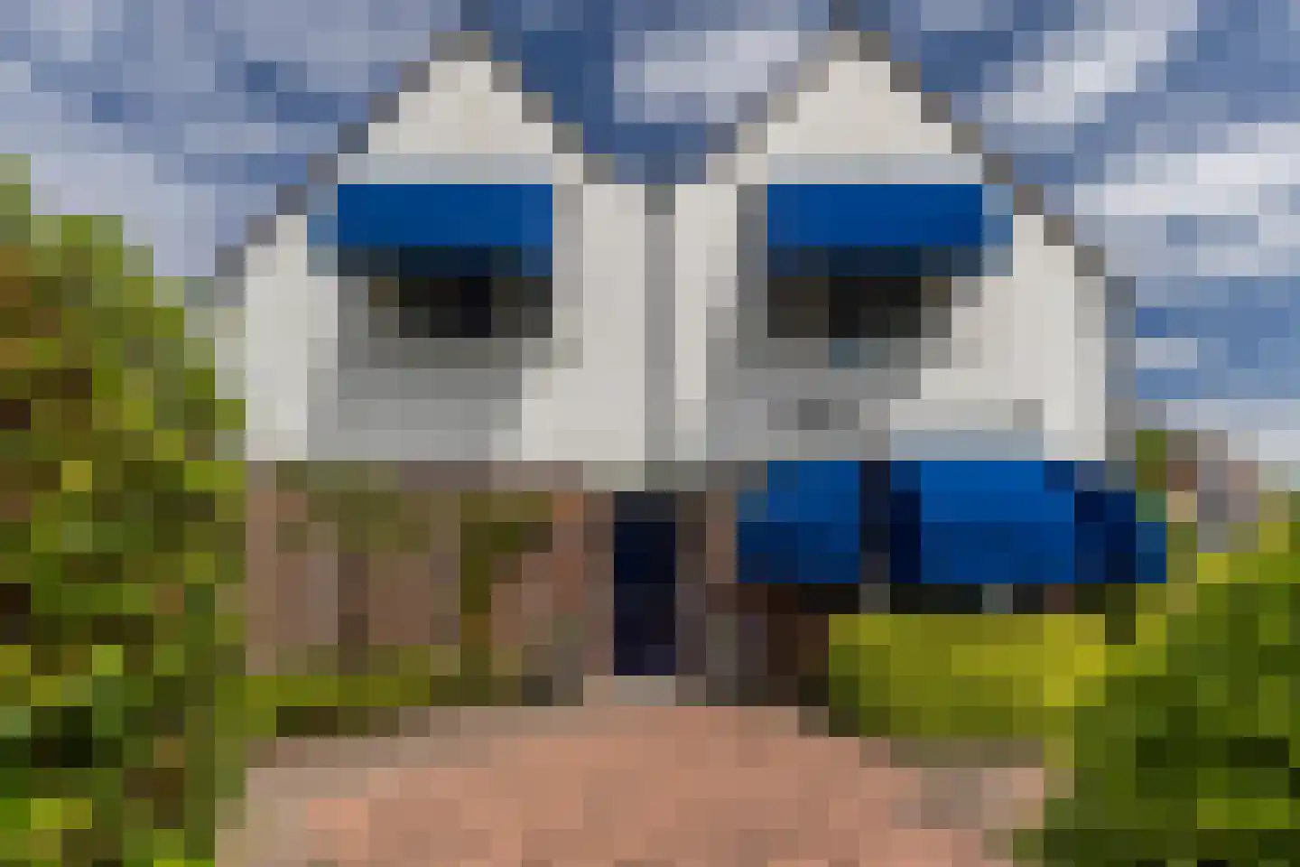 Laan van Scheltema 2 Den Haag thumbnail 5