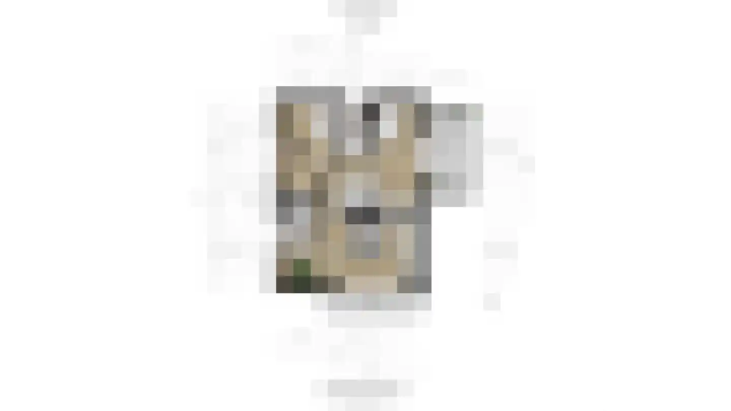 Laan van Scheltema 2 Den Haag thumbnail 53
